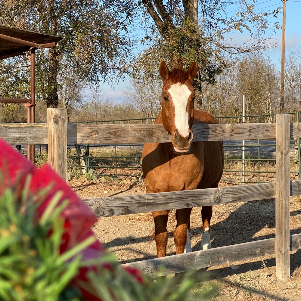 Meet your Posher, Kathryn